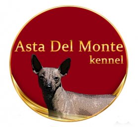 ASTA DEL MONTE