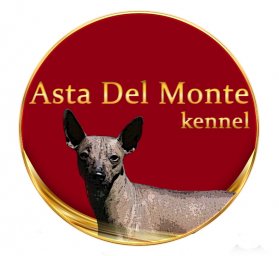 ASTA DEL MONTE