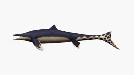 В Японии описали внешний вид неизвестного ранее морского чудовища.