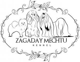 ZAGADAY MECHTU