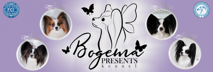 BOGEMA PRESENTS