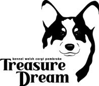 TREASURE DREAM