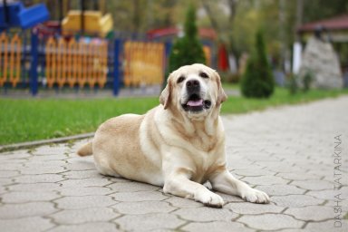 Oksana* Oksana*